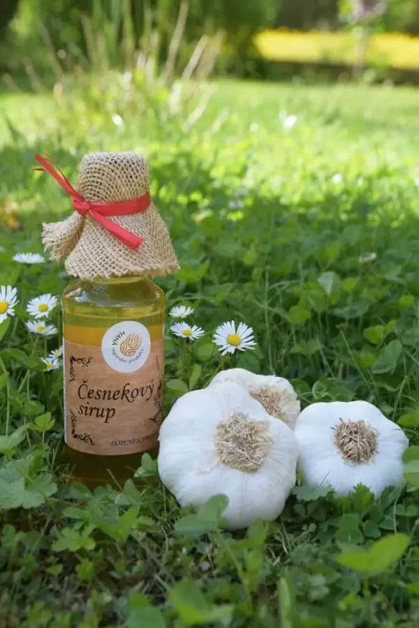 Česnekový sirup babičky Anežky