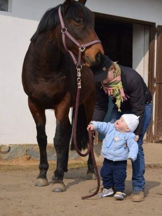 Návštěva u koně na farmě