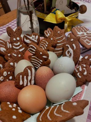 Vajíčka od našich slepiček