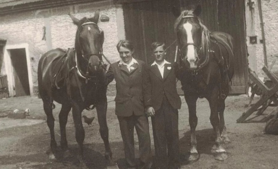 Historická fotografie hospodářství s koňmi
