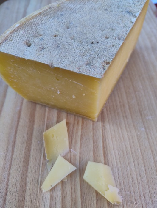 Zrající gouda