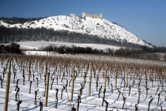 Děvín s Dívčími hrady nad vinicemi