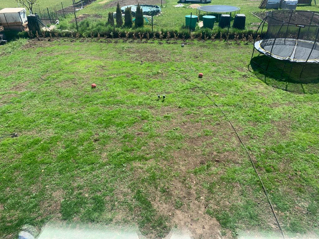 fertilizing a new lawn