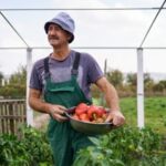 positive man harvesting peppers in his garden