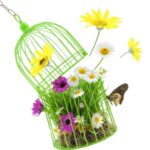 cage with grass flowers and insects isolated on white copy
