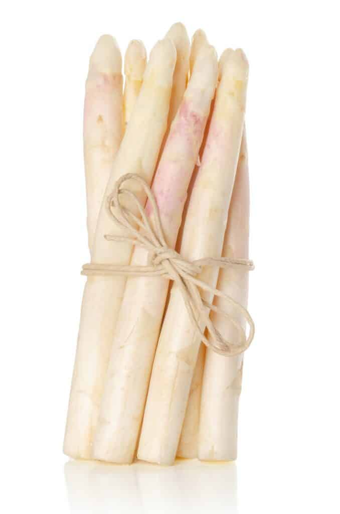 Bundle of white asparagus shoots, upright standing