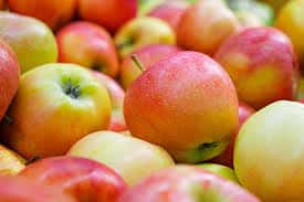 nejchutnější odrůdy jabloní Jonagold