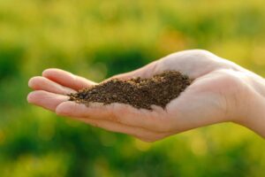 Porovnání hnojíku s ostatními hnojivy - hnojivo v dlani