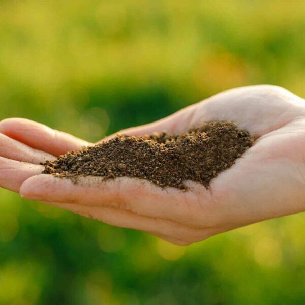 Porovnání hnojíku s ostatními hnojivy - hnojivo v dlani