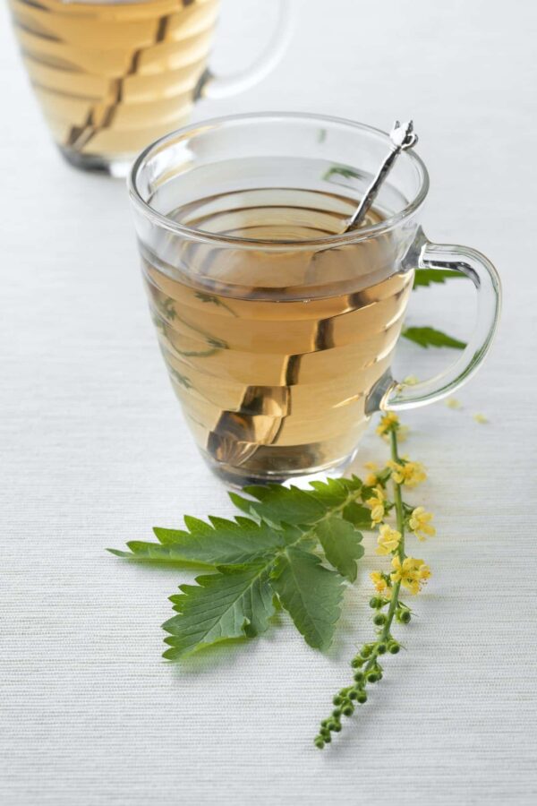 glass-cups-with-agrimony-tea-e1685224174536.jpg