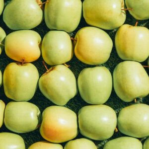 Strupovitost jabloně - napadá plody