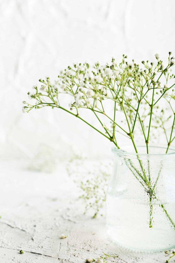 Šater 3 Šater latnatý (Gypsophila paniculata) svázaný do kytice
