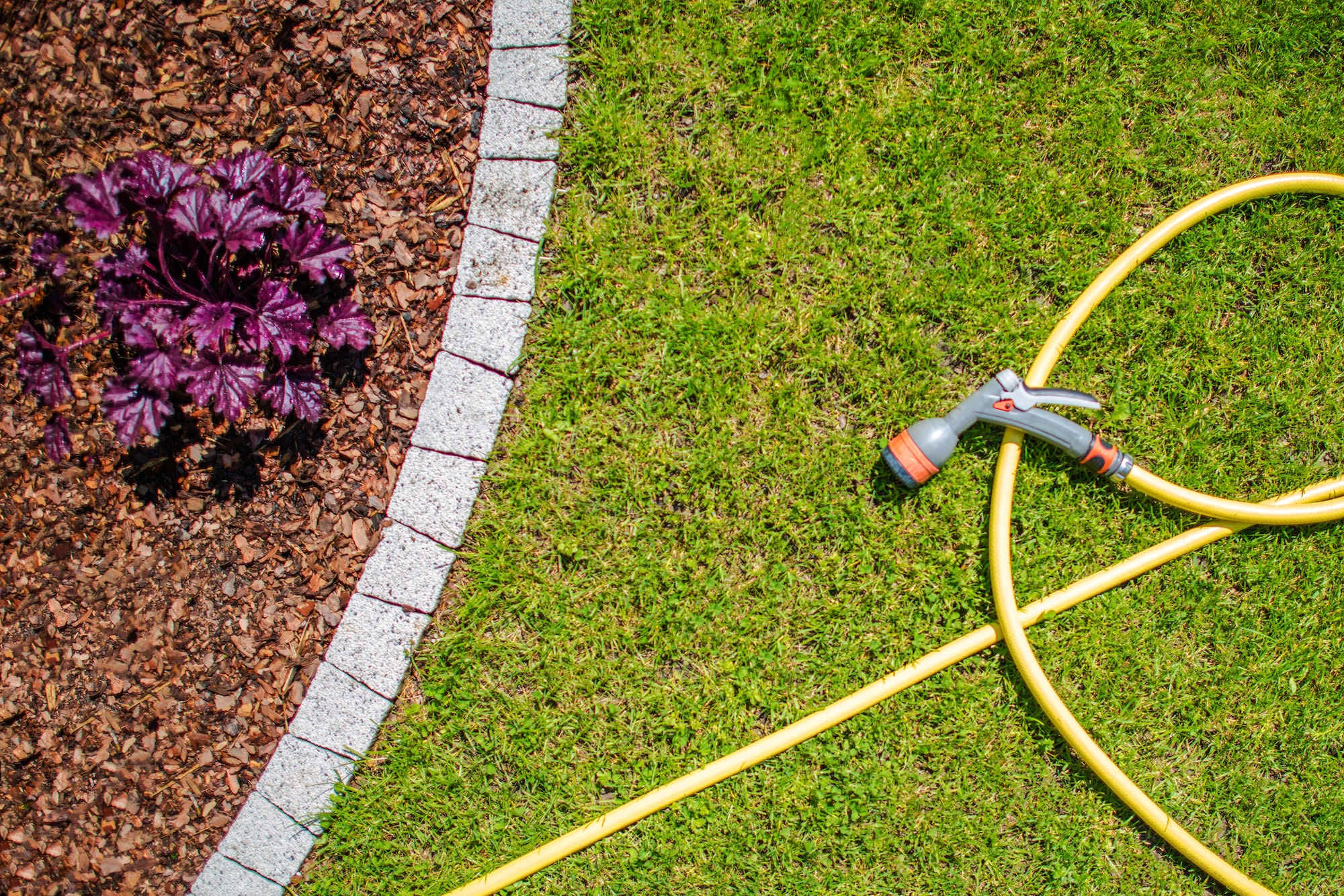 garden-water-hose.jpg