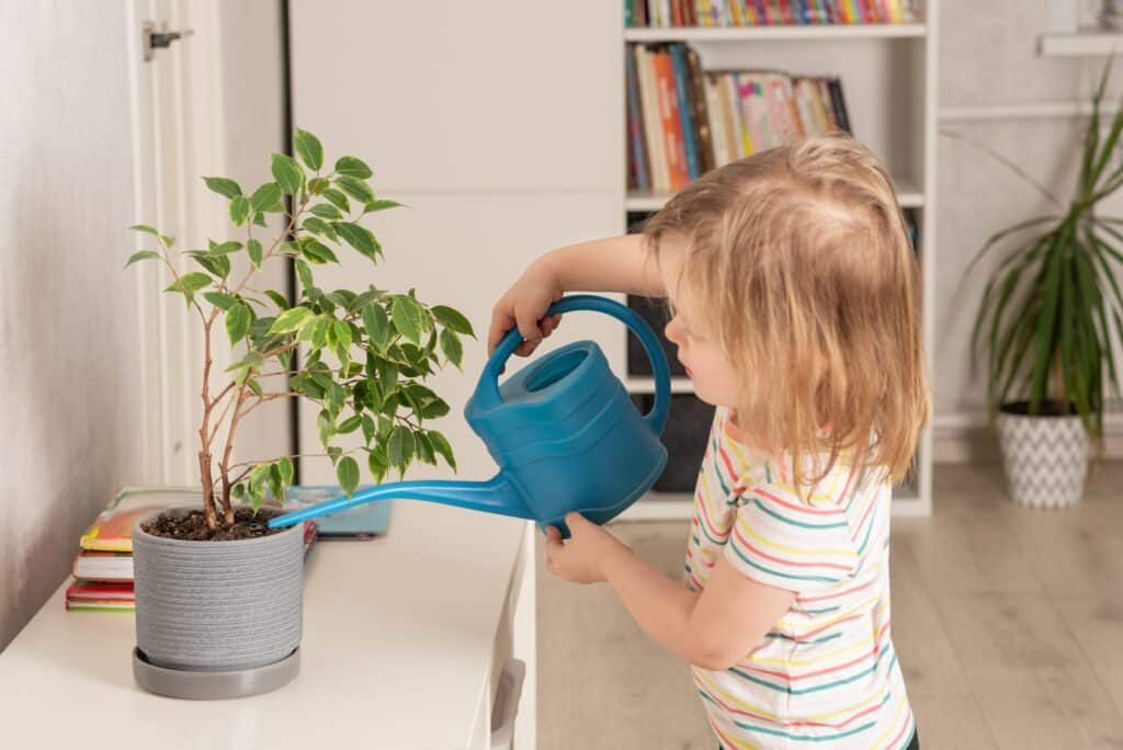 Girl watering a home plant with a watering can