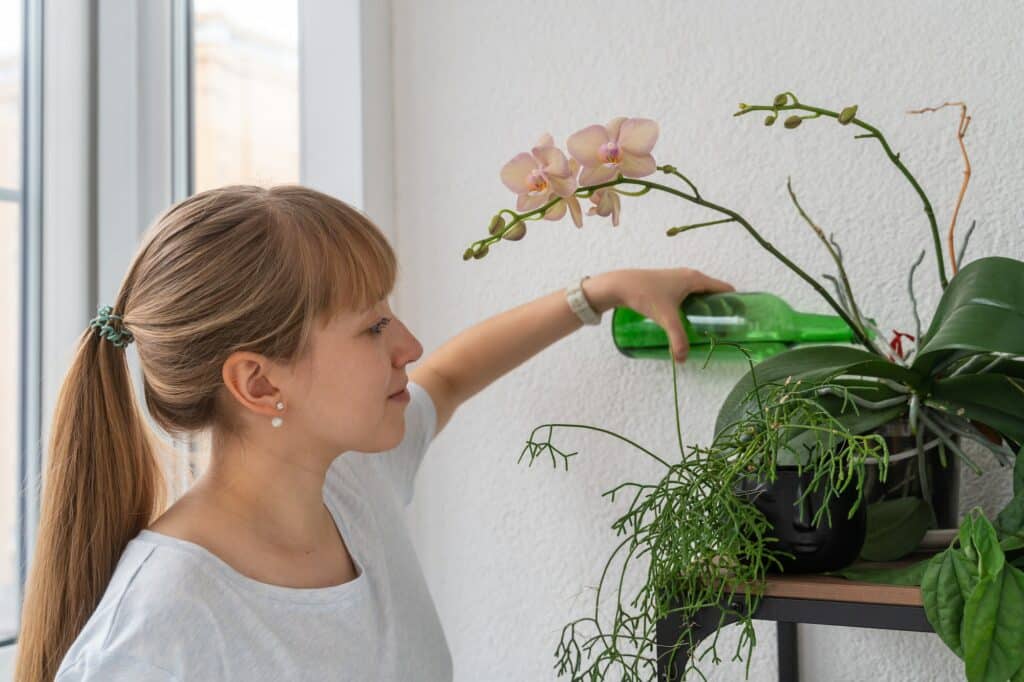 Young lady watering orchid with plastic bottle on balcony. Home gadrening