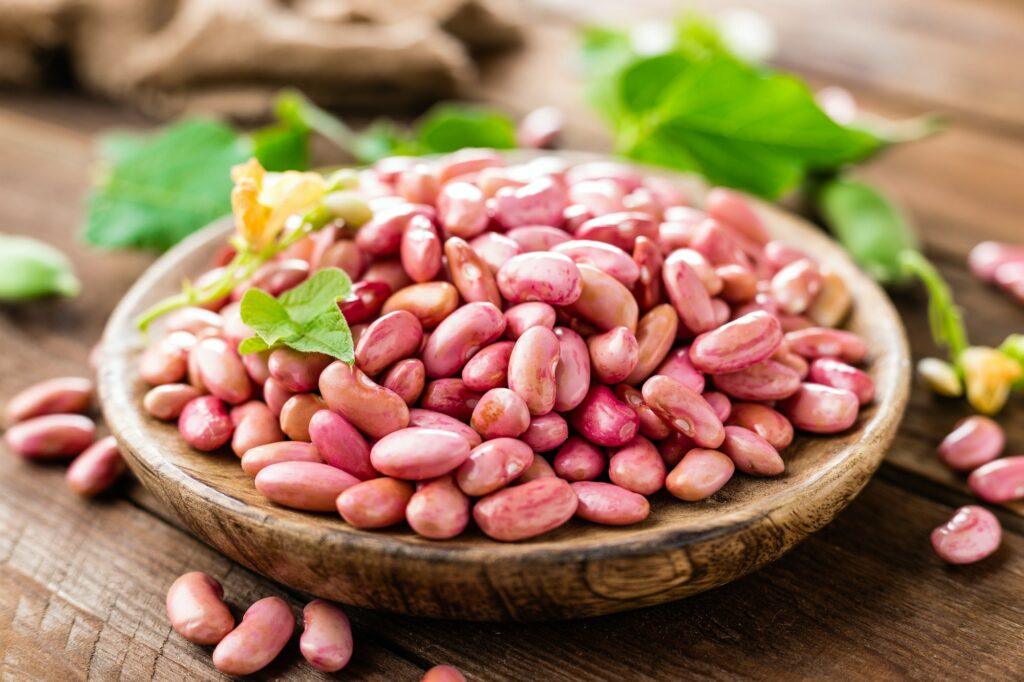 Antraknóza hrachu u fazolu - pěstování odolnějších odrůd