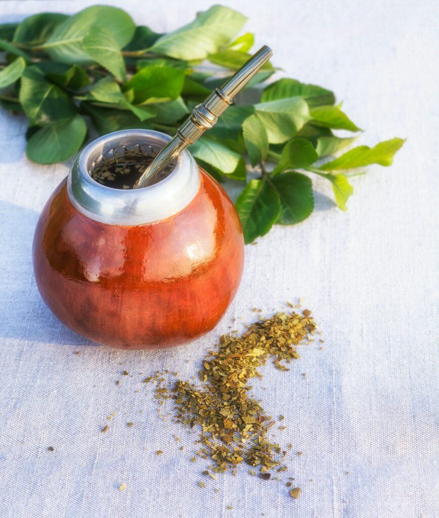 Yerba mate drink and leaves