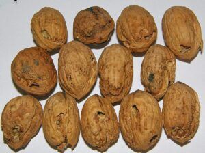 ořech s nedostatkem vápníku