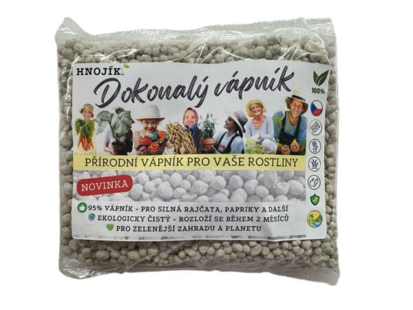 vapnik