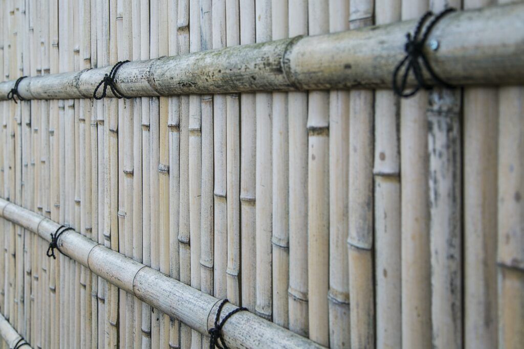 Bambusový plot
