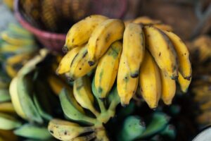 cultivated banana for processing banana in the hand of the seller
