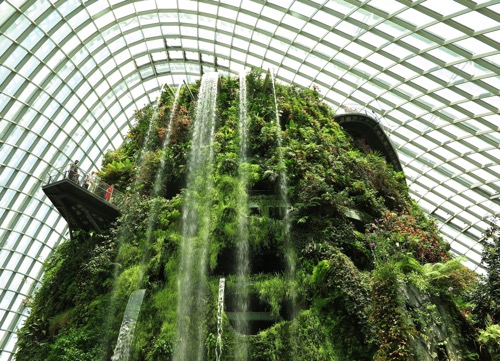 řečťan ve skleníku jako architektonický prvek