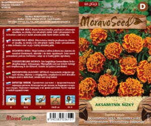 Aksamitník nízký - Tagetes patula - oranžovohnědý