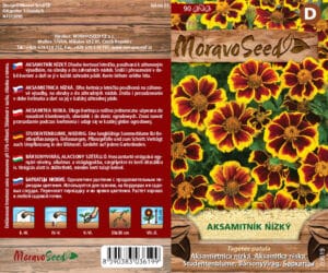 Aksamitník nízký - Tagetes patula - Jednoduchý hnědožlutý