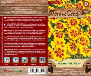Aksamitník nízký - Tagetes patula - Žlutohnědý