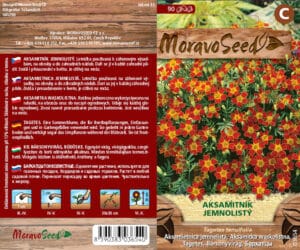 Aksamitník jemnolistý - Tagetes tenuifolia - červený