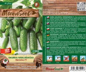 Okurka nakládačka hruboostná - Cocumis sativus - HERMINA F1