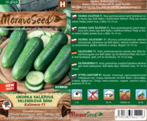 Okurka salátová skleníková - Cocumis sativus - KALIMERO F1