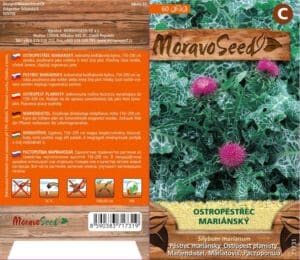 Ostropestřec mariánský - Silybum marianum