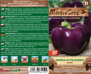 Paprika k rychlení - Capsicum annuum - LORAN - kvadratická, fialová