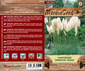 Pampová tráva - Cortaderia selloana - bílá
