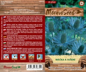 Máčka alpinská - Eryngium alpinum - modrá