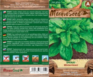 Špenát setý - Spinacia oleracea - WINTERRIESEN