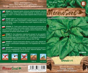 Špenát setý - Spinacia oleracea - GRETA  F1