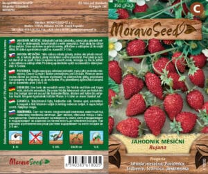 Jahodník měsíční - Fragaria - RUJANA