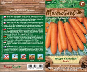 Mrkev raná - Daucus carota L. - Naomi