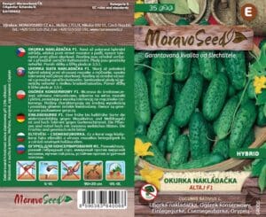 Okurka nakládačka hruboostná - Cocumis sativus - ALTAJ F1