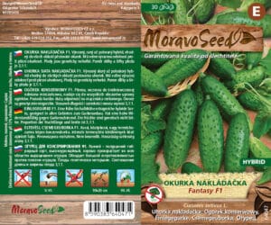 Okurka nakládačka hruboostná - Cocumis sativus - FANTASY F1