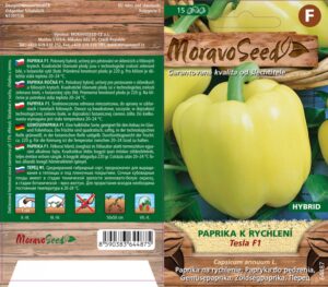 Paprika k rychlení - Capsicum annuum - TESLA F1 - kvadratická, žlutá