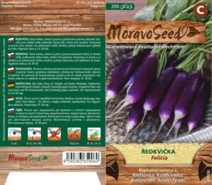 Ředkvička - Raphanus sativus - FELICIA -  fialovobílá válcovitá
