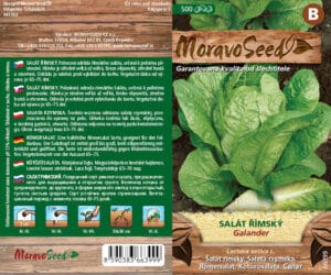 Salát římský - Lactuca sativa - GALANDER