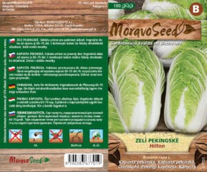 Zelí pekingské - Brassica rapa - HILTON