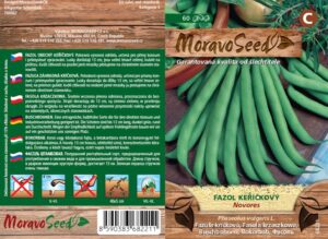 Fazol keříčkový - Phaseolus vulgaris - NOVORES - zelený