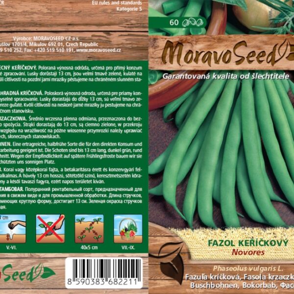 Fazol keříčkový zelený NOVORES semena