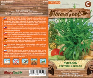Estragon - Artemisia dracunculus