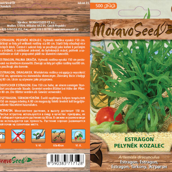Estragon - Artemisia dracunculus semena